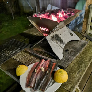 Grill sustainably - herring